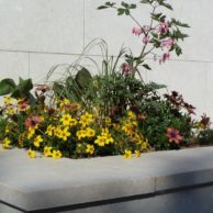 017 (3) - Gartenanlage-Levante-Crema 2