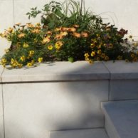 018 (3) - Gartenanlage-Levante-Crema 4