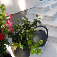 020 (3) - Gartenanlage-Levante-Crema 2