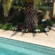Poolanlage an der Cote d’Azur_1402